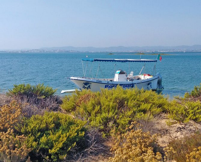 ria formosa boat trip