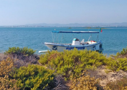 ria formosa boat trip